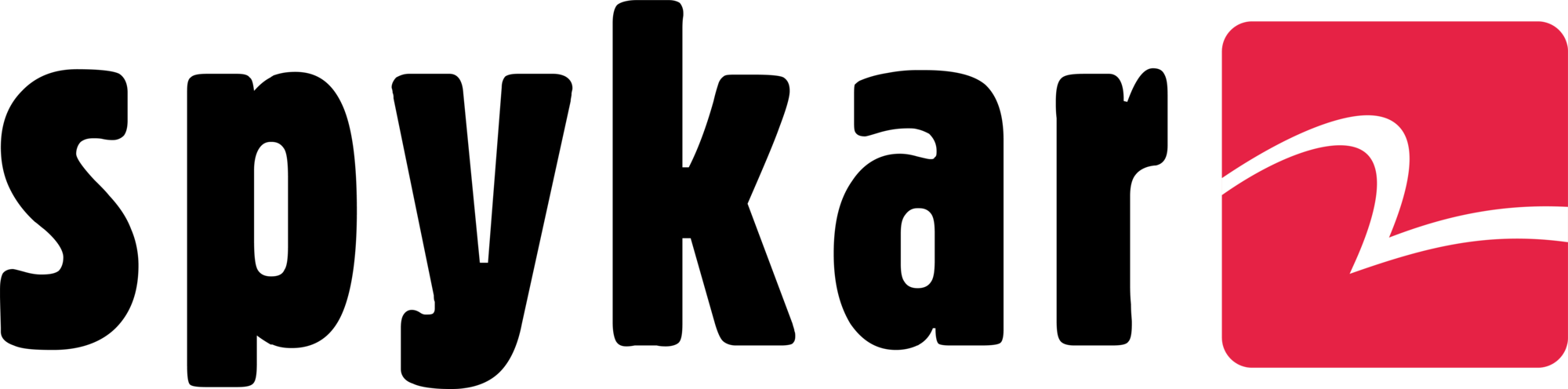Spykar