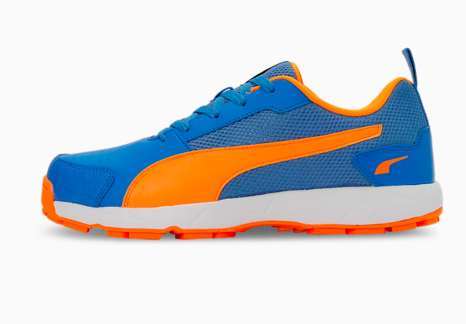 PUMA Cricket High Run Men's Shoes