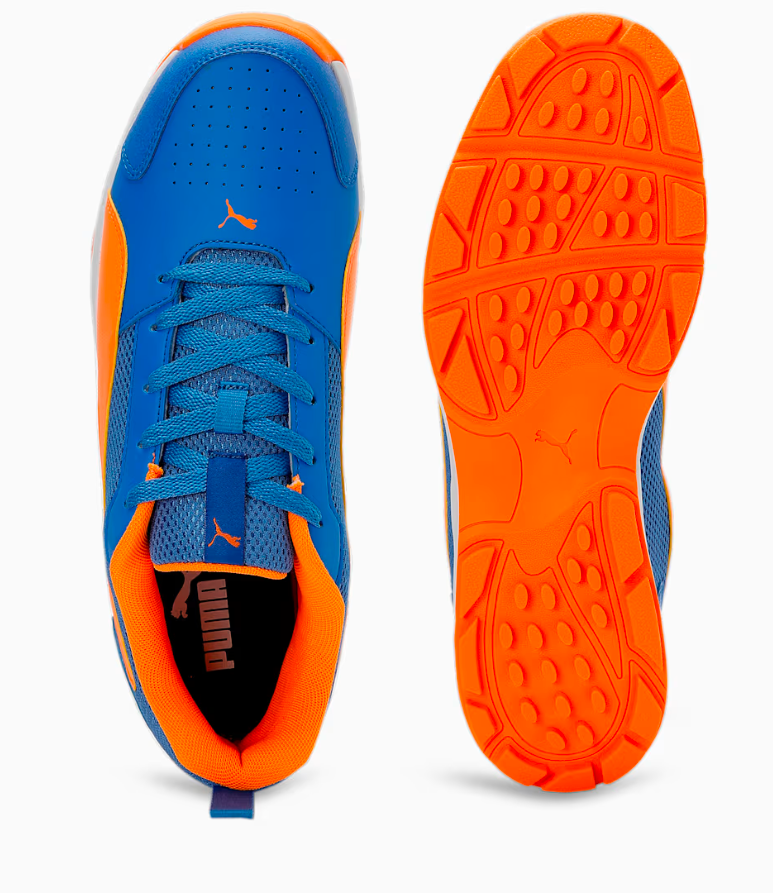 PUMA Cricket High Run Men's Shoes