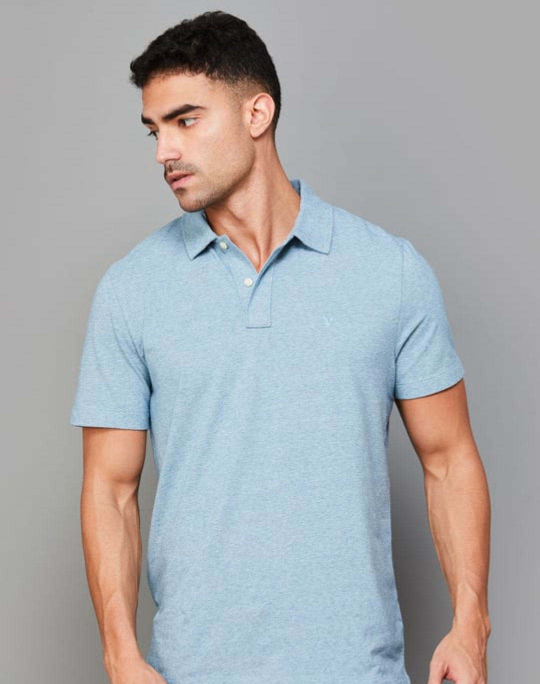 AMERICAN EAGLE regular fit Polo t-shirt