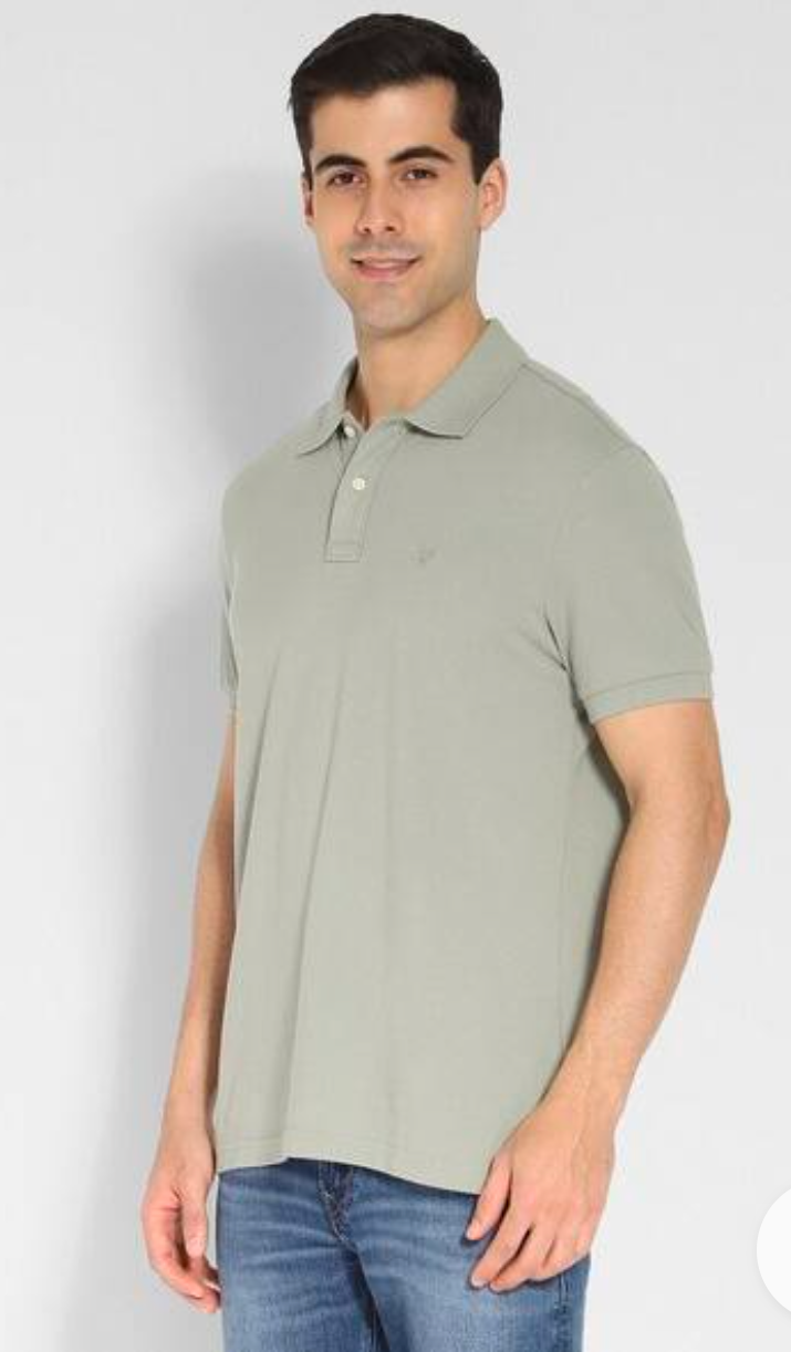 American eagle regular fit Polo t-shirt